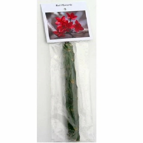 1 Red Hawaiian Plumeria Cutting | 9–12" Unrooted Stem | Fragrant Frangipani Flower | Tropical Garden Starter Plant